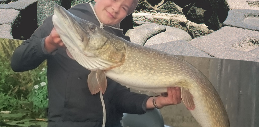 Ricardo van Oudenhoven